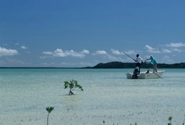 Crab country Crab country