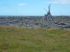 Open landscape Open landscape