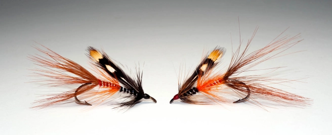 Usk Grub and Irish Shrimp Usk Grub and Irish Shrimp