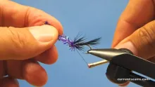 Video thumb for North Country Spider Egg