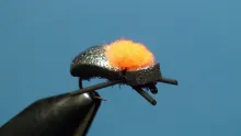 Video thumb for McLoco Beetle