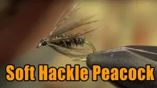 Video thumb for Soft Hackle Peacock