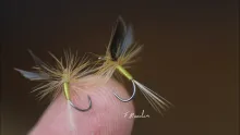 Video thumb for Vespertina