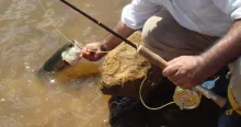 User submitted picture: Fisherman: Stabas Nbölas