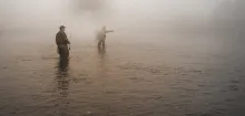 User submitted picture: Into the Mist 